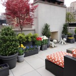 Townhouse Gardening and Landscaping- Top 3 Reasons Why Your Property Needs It